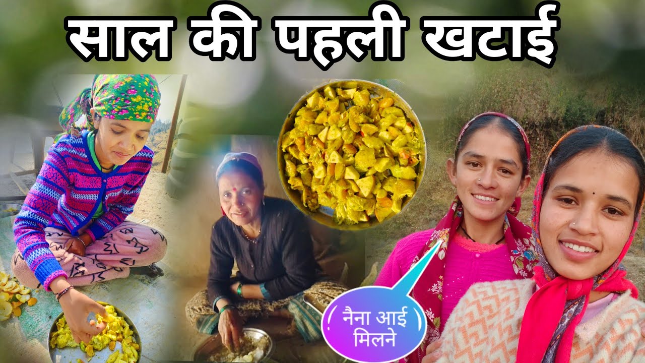 क्यों नहीं बना पाई इतने दिनों से वीडियो 🤔 ll Pahadi Lifestyle Vlog ll Rashmi Bisht Uk 11 