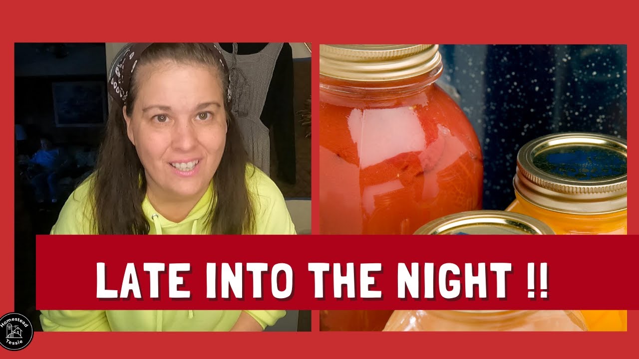 Late into the night ( Has to be Done !!!!)