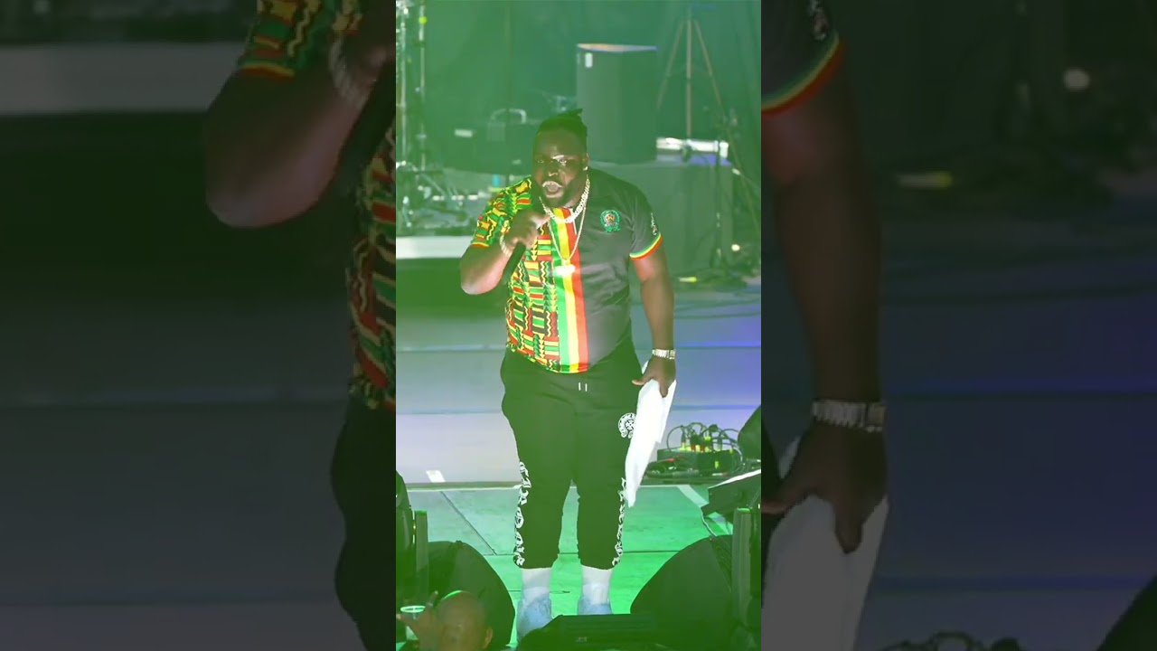 Shinsoman electrifying performance #Zimfest2024  #dancehall #amapiano #reggae #zimbabwe