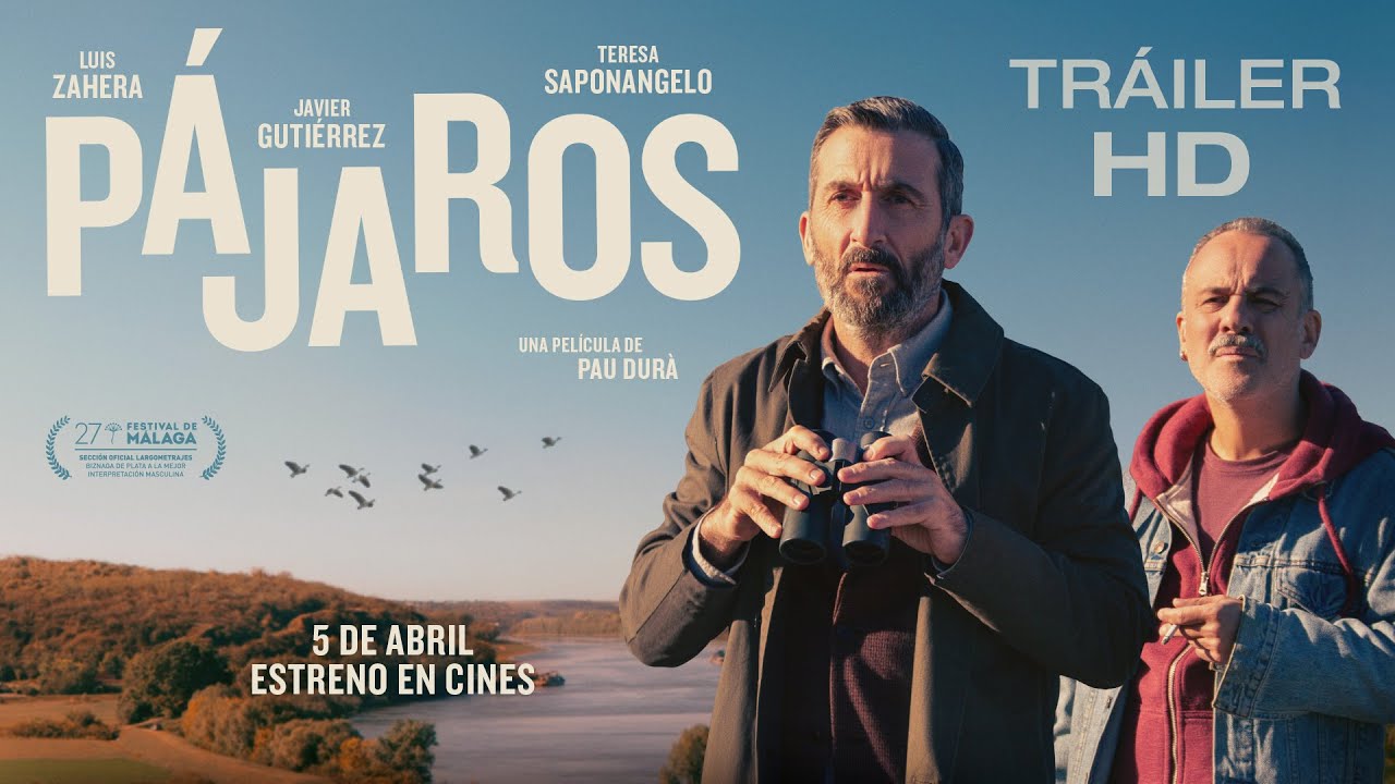 P&Aacute;JAROS. Tr&aacute;iler oficial. 5 de abril en cines.