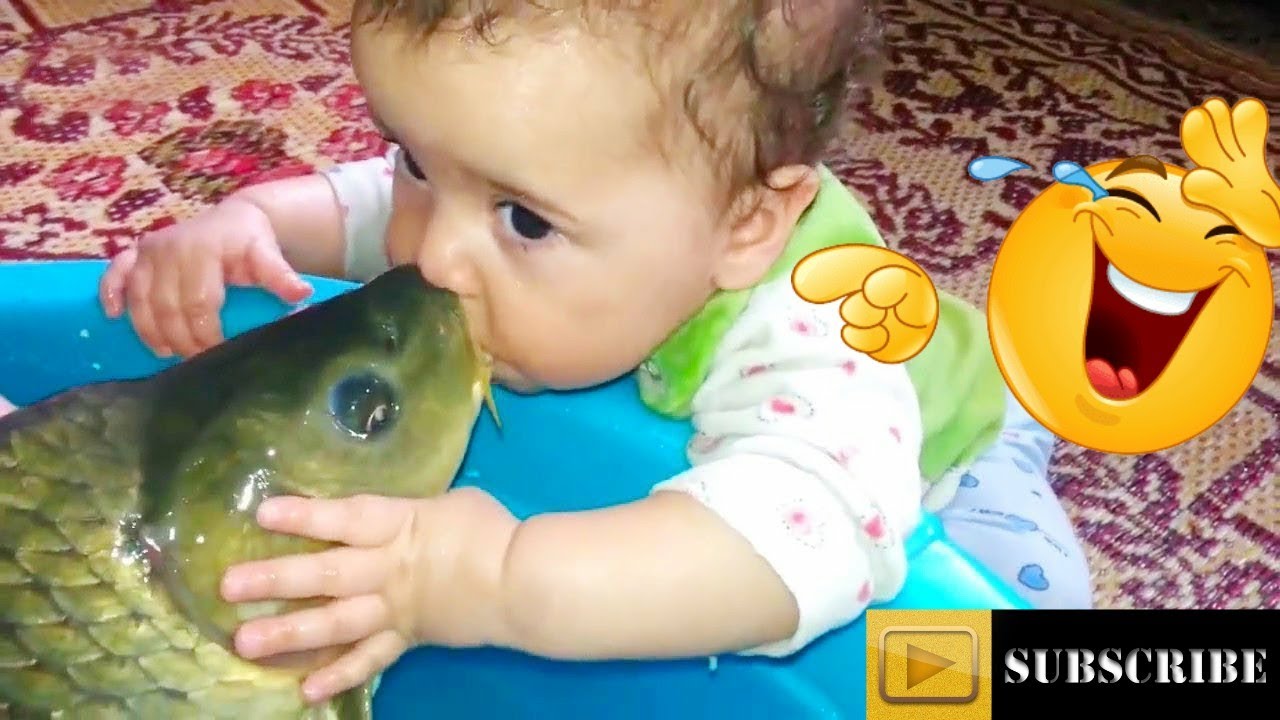 Funny baby animals compilation  | Funny baby with animal compilation |