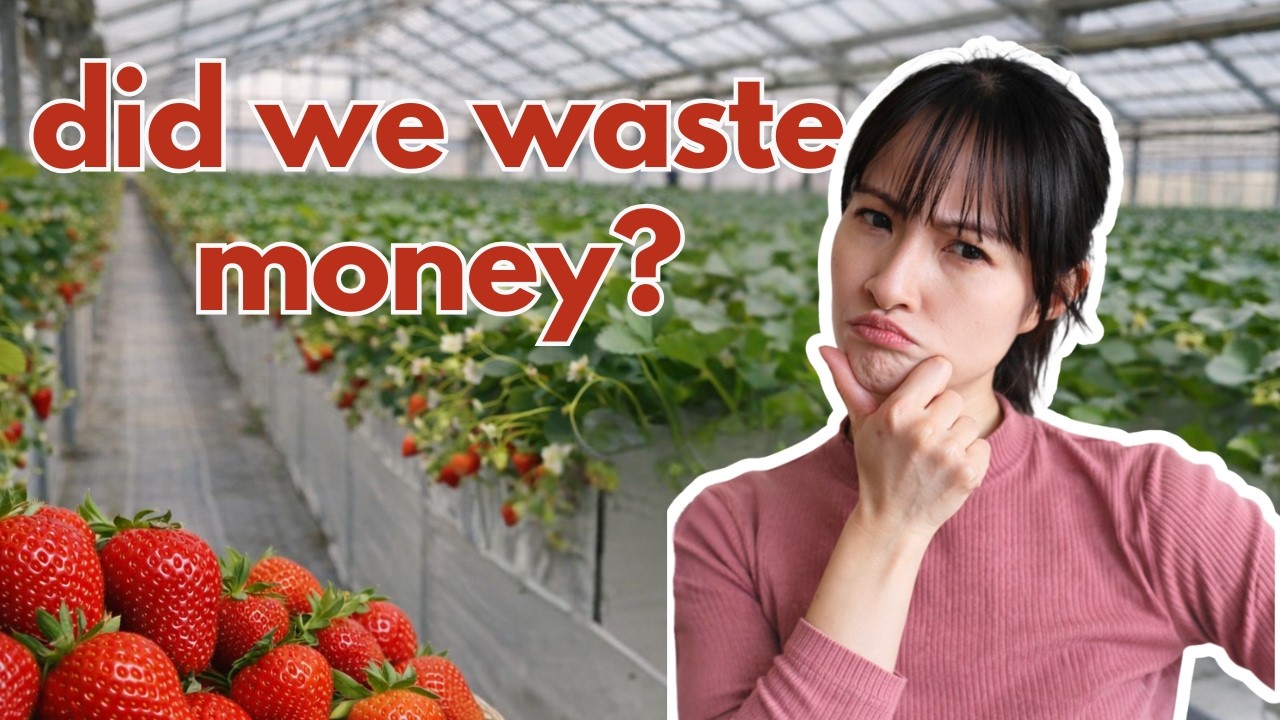 I Spent ¥9,600 for Strawberry Picking in Japan - Worth It?