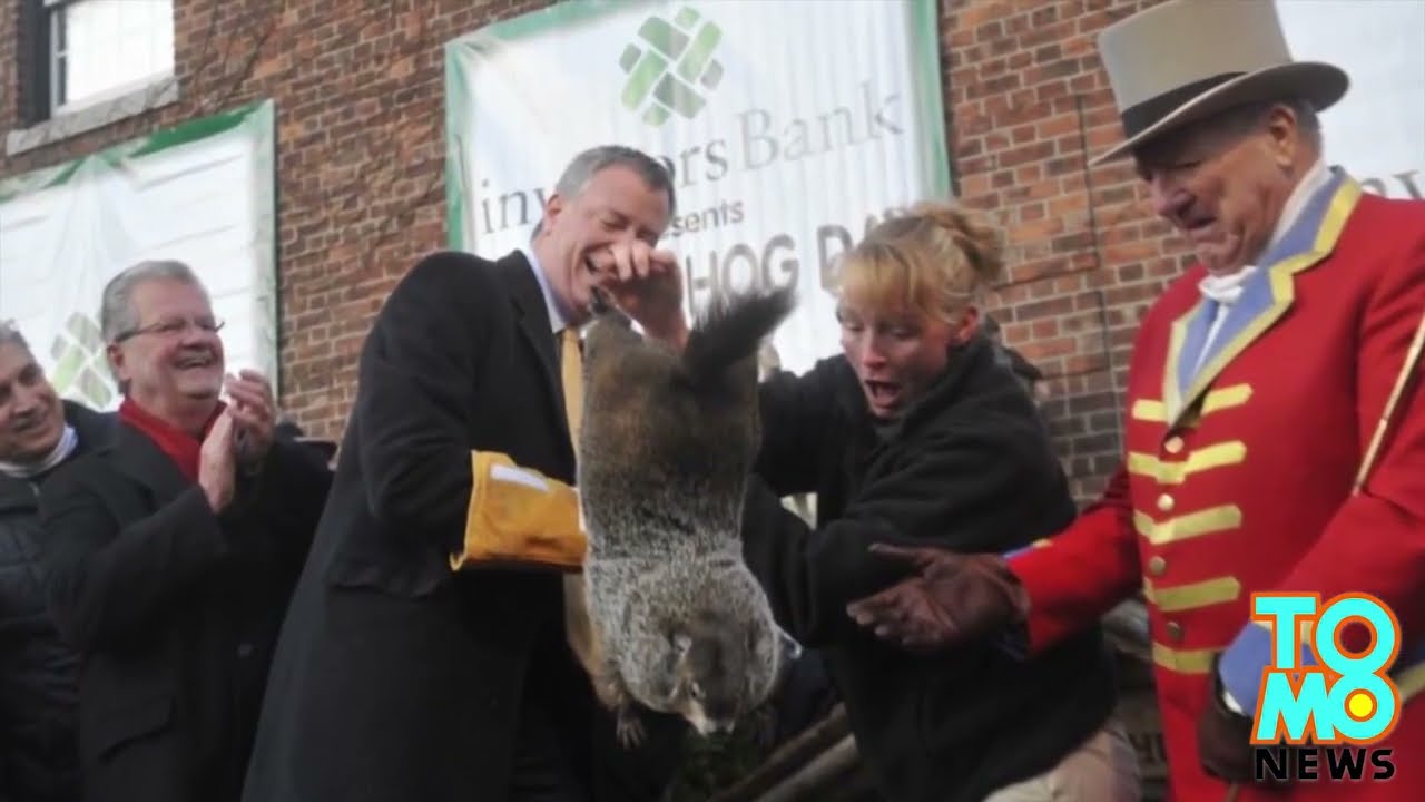 NYC Mayor Bill De Blasio drops Groundhog - Supercut