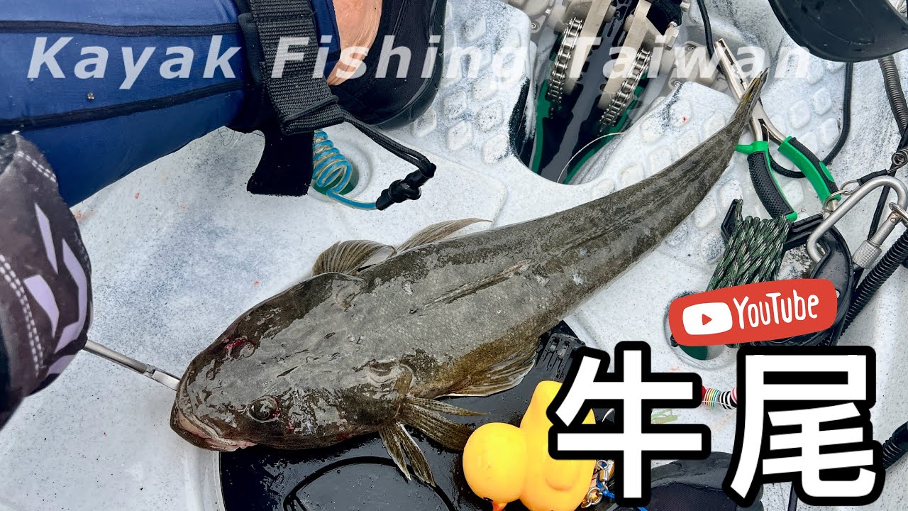【舟釣路亞】害我以為勾到地球的牛尾 1.17 Kayak Fishing Taiwan