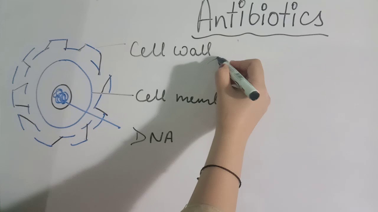 ANTI-MICROBIAL AND THEIR MECHANISM OF ACTION