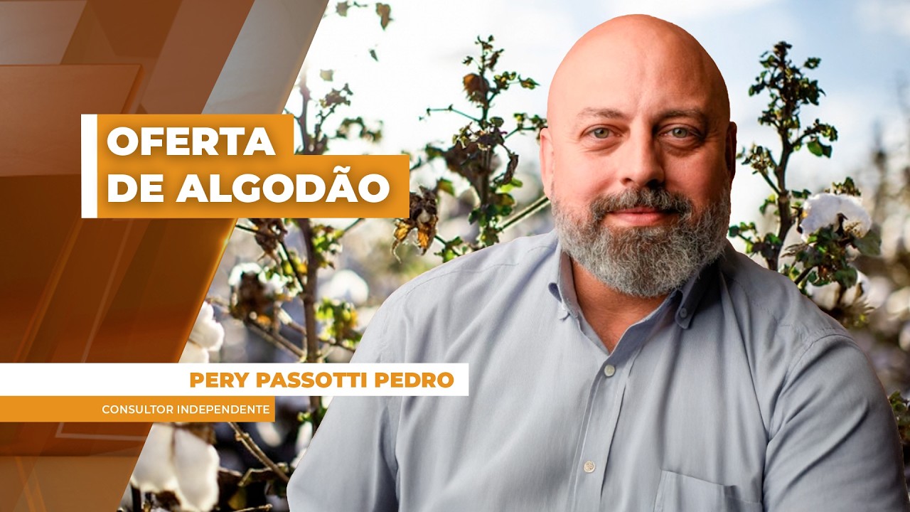 Oferta de algodão no Brasil sobe em momento delicado na variação cambial