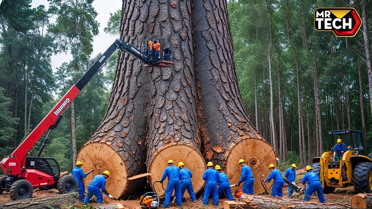 Extreme Dangerous Fastest Big Chainsaw Cutting Tree Machines | Monster Stump Removal Excavator #71