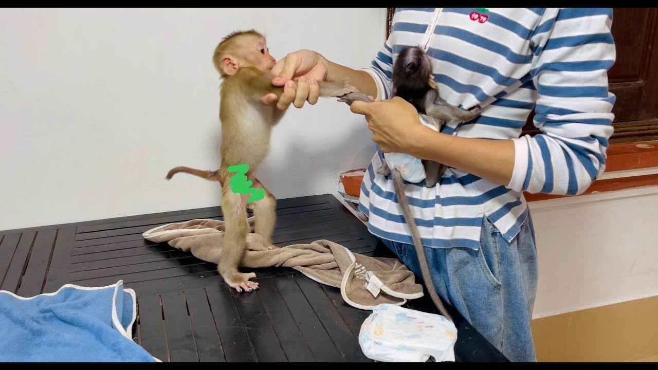 Ganqster Jasmine bitttt koi’s hand vry h-rt when koi huq her mom