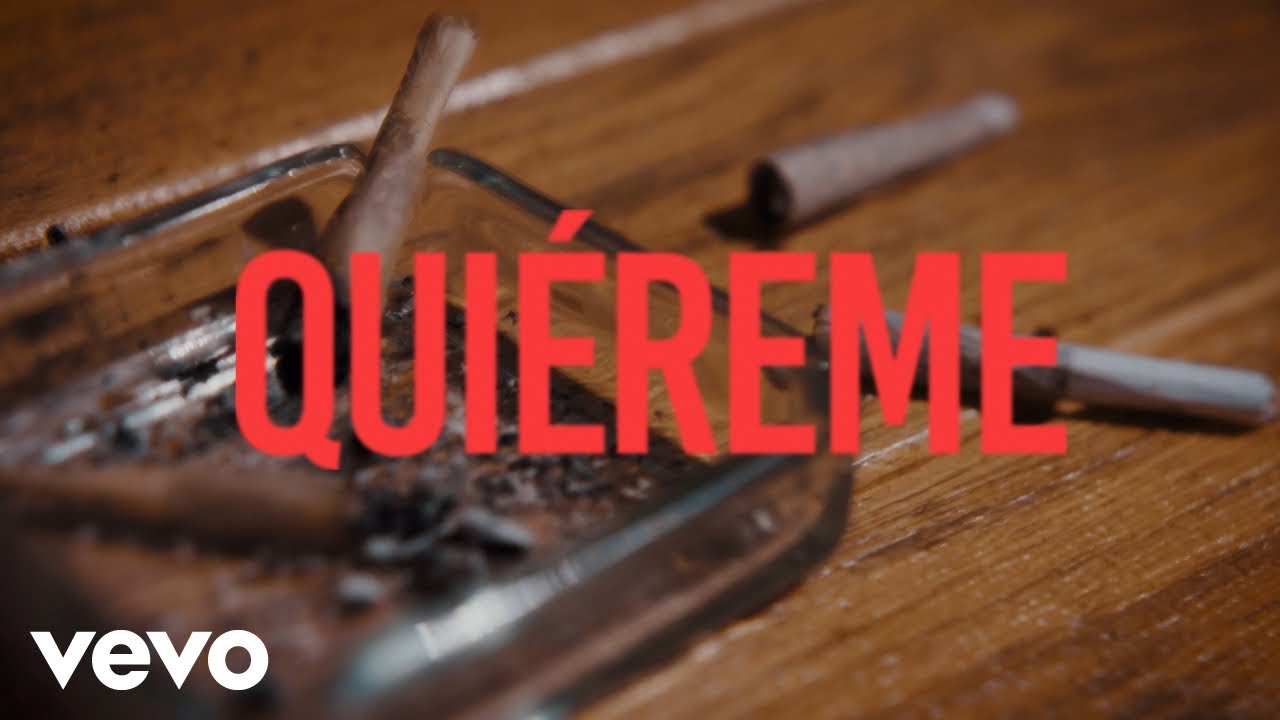 Sandro Malandro - Qui&eacute;reme (Visualizer)