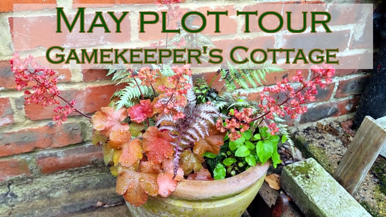 May Garden Tour & Jobs | Creeping Phlox, Roses & Lawn Care | Gardening at Gamekeeper’s Cottage