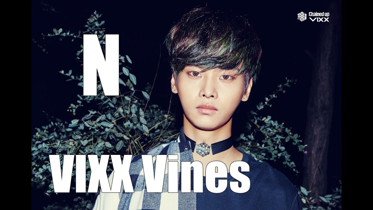 VIXX Vines - N