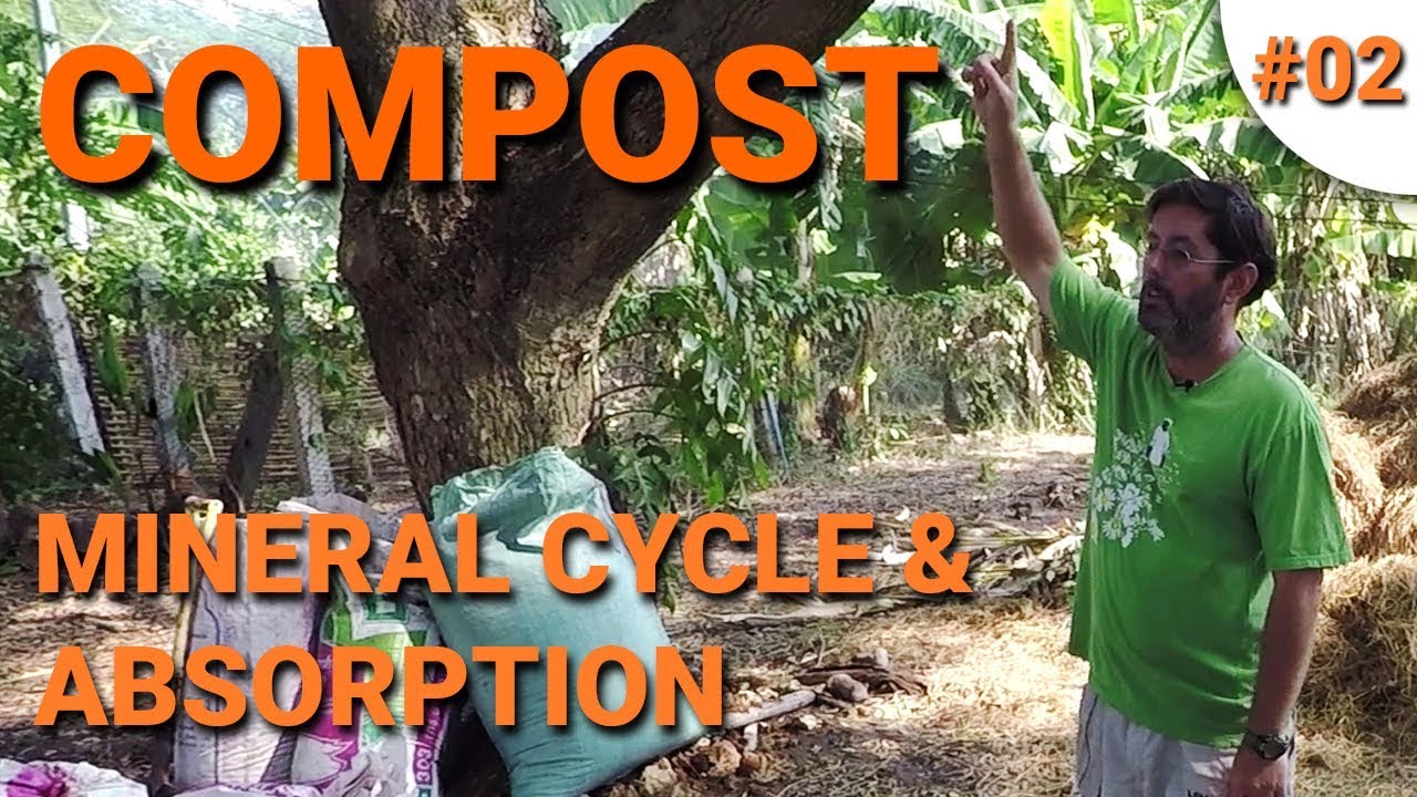 Permaculture: How to get Minerals in your Compost (Lesson 02)
