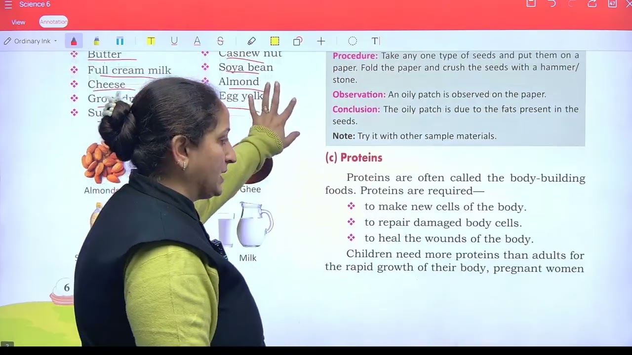 Science 6 ch 1