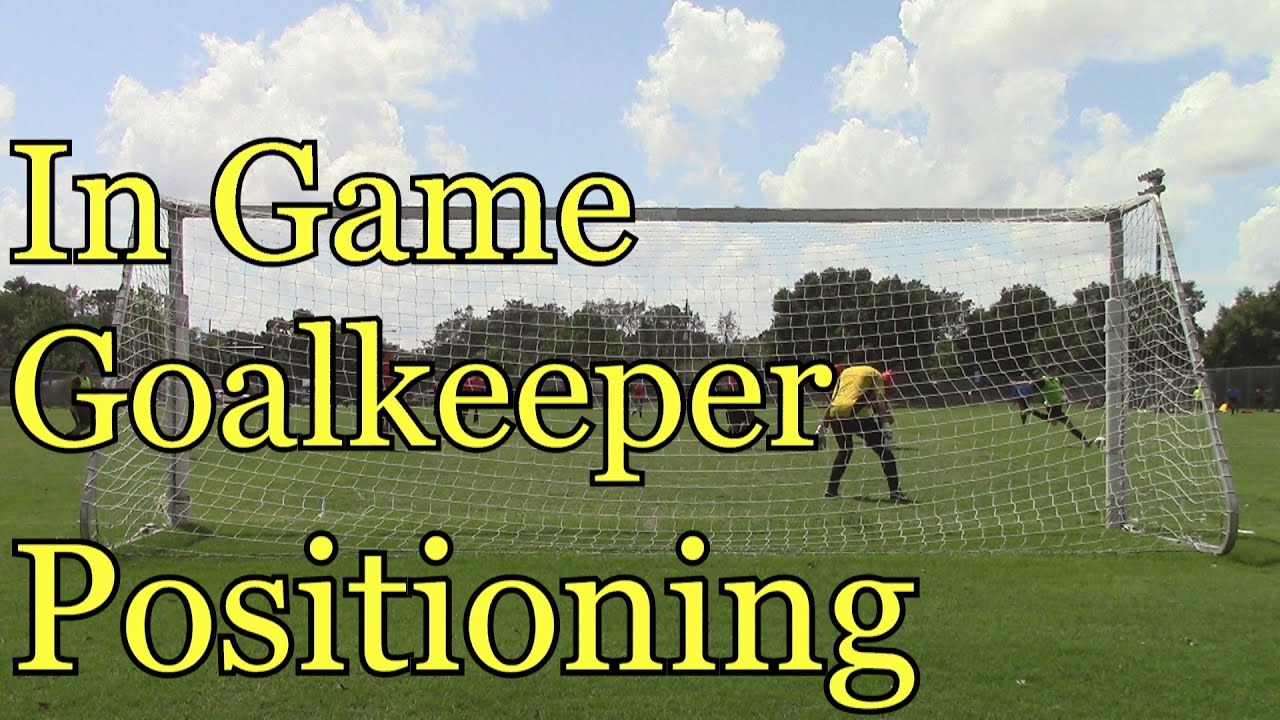 In Game Goalkeeper Positioning: Goalkeeper Training