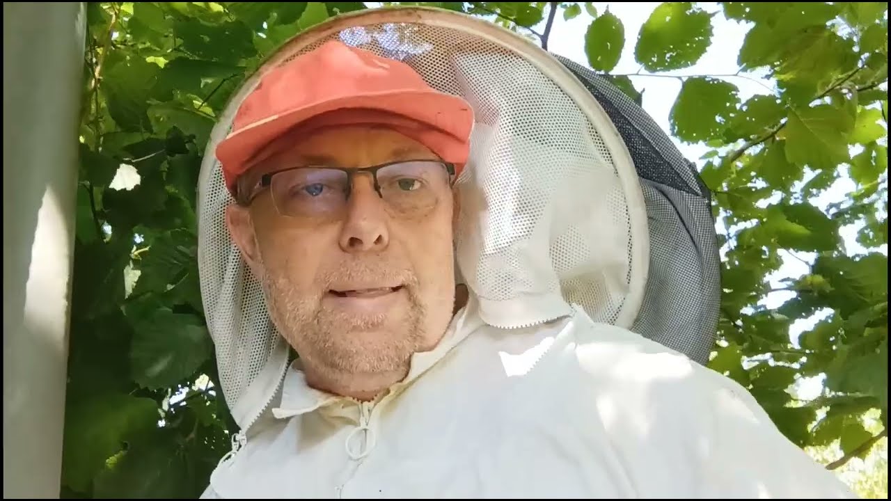 pose des chasse abeilles