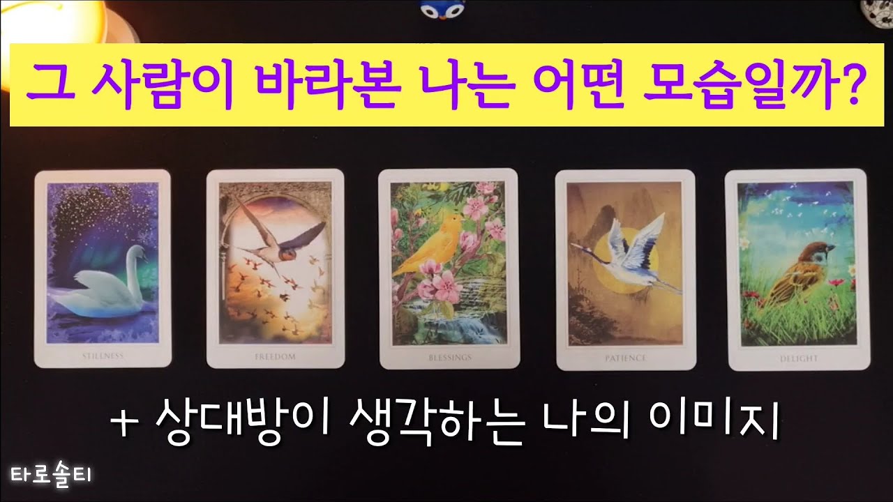 [타로카드/속마음] 그 사람이 바라본 나는 어떤 모습일까? (+상대방이 생각하는 나의 이미지와 현재 속마음)