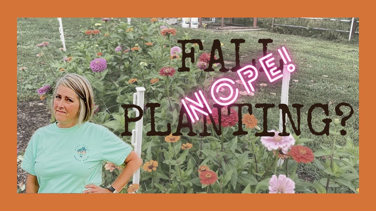 September Flower Farm Update | Why I'm NOT Fall Planting in 2022