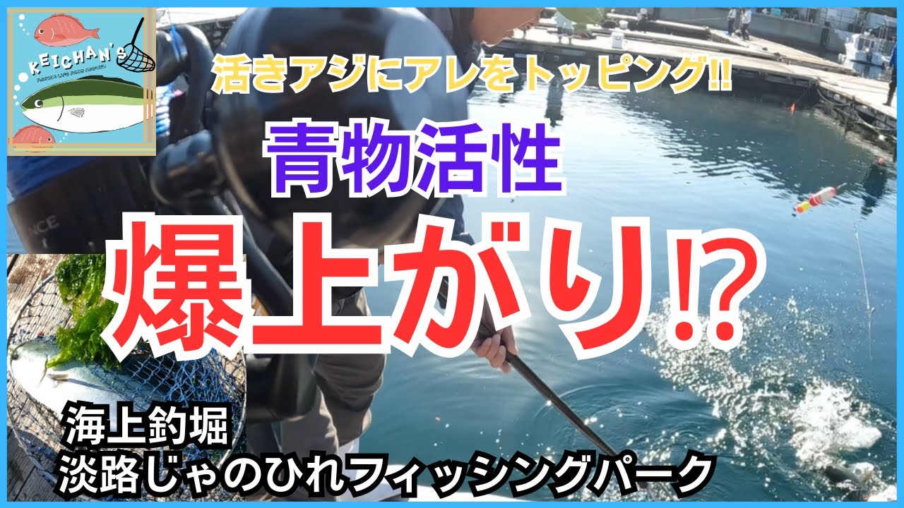 【海上釣堀】青物活性爆上がりしたエサとは・・・