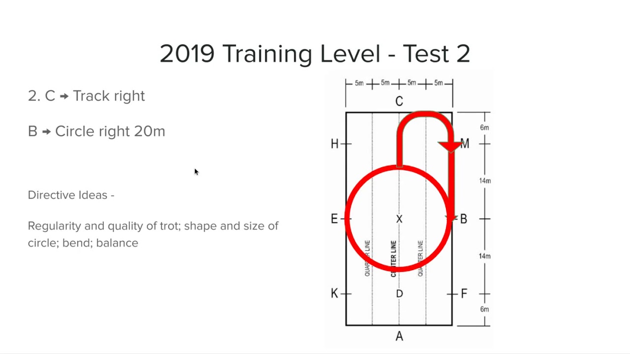 2019 USEF Training Level Test 2