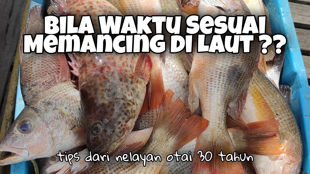 Bila Waktu Sesuai Untuk Memancing di Laut