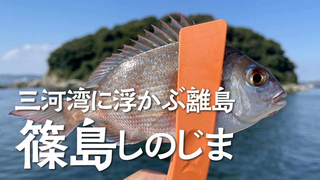 【堤防釣り】三河湾に浮かぶ離島篠島（しのじま）爆釣の穴場 / Embankment fishing