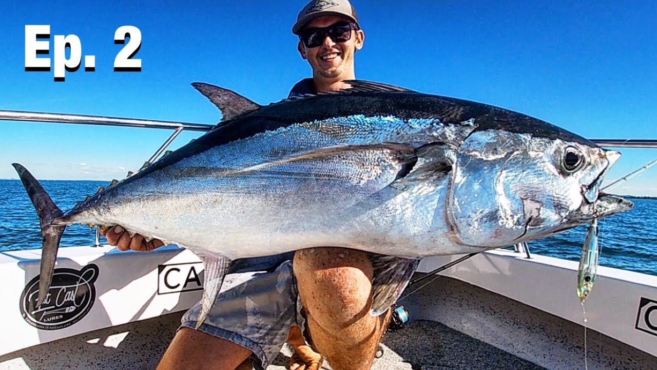 MORETON BAY LONGTAIL TUNA - 5 minutes from the boat ramp!