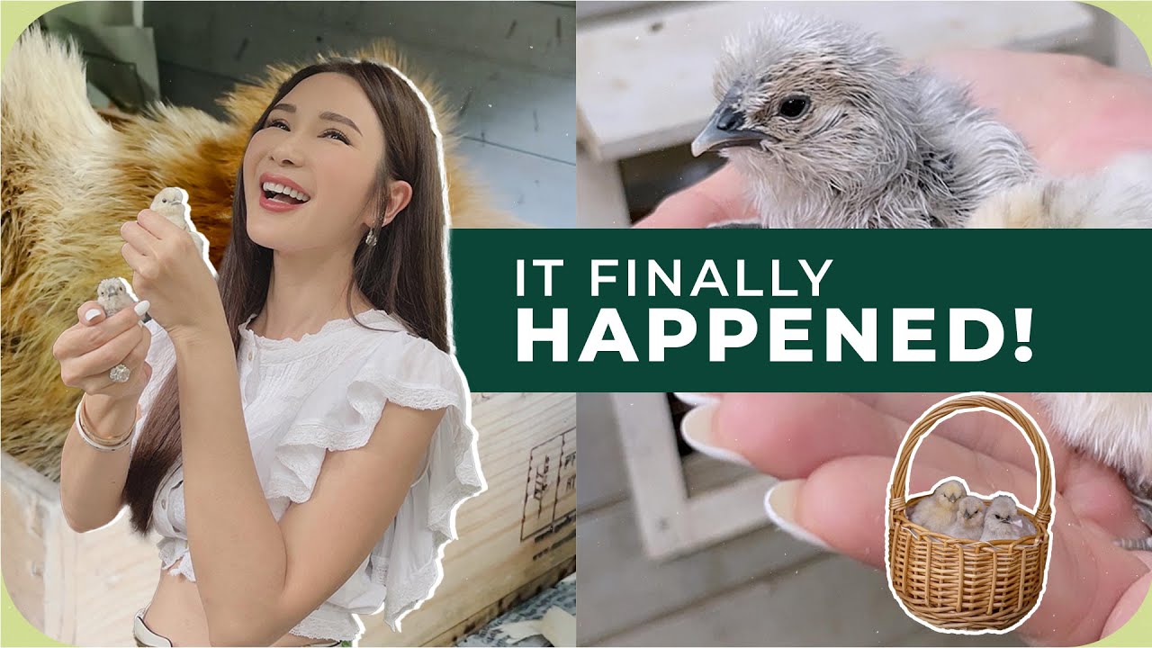 MEET MY NEW BABIES! (UPDATE ON JAMIE’S SECRET GARDEN) | JAMIE CHUA