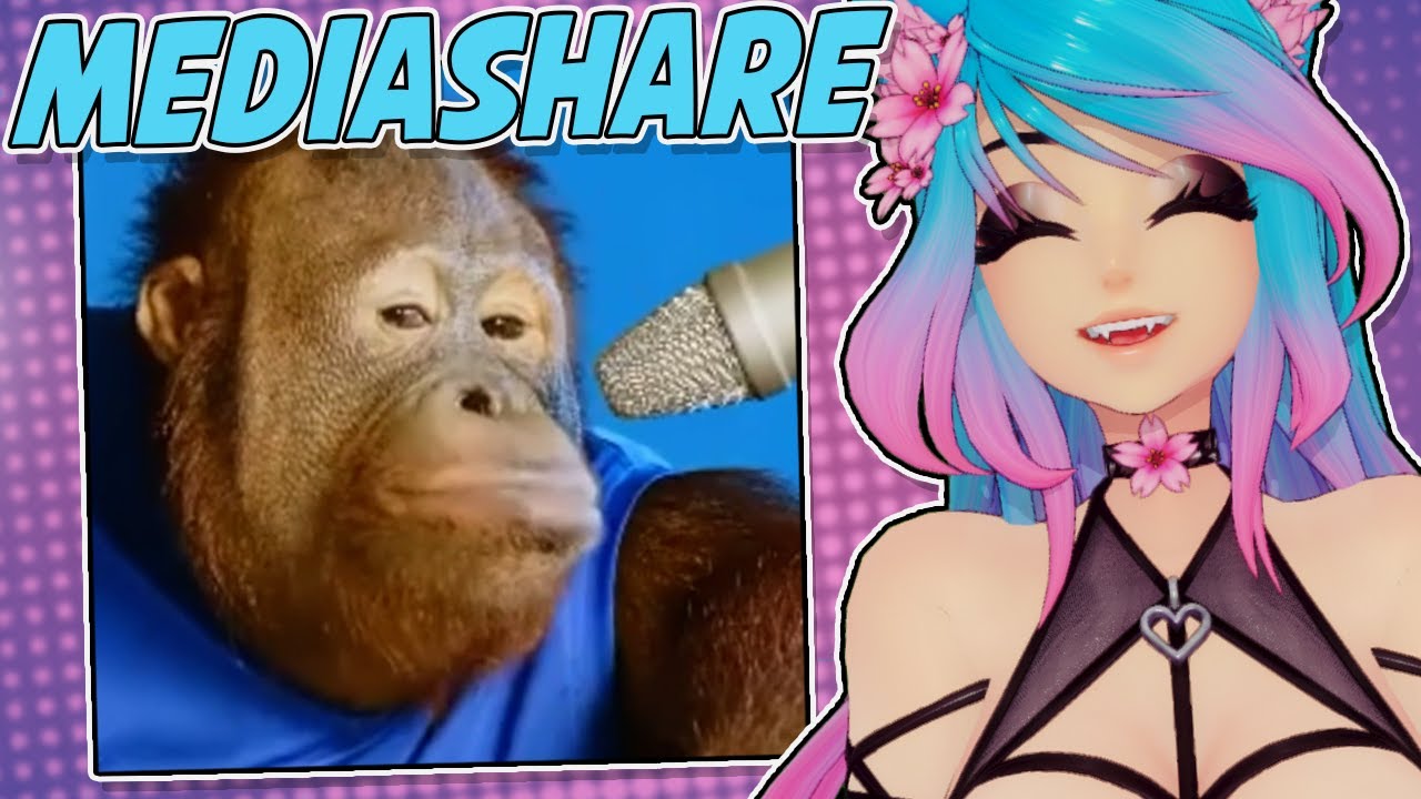 This is THE BEST ASMR on YouTube ║ Silvervale Mediashare