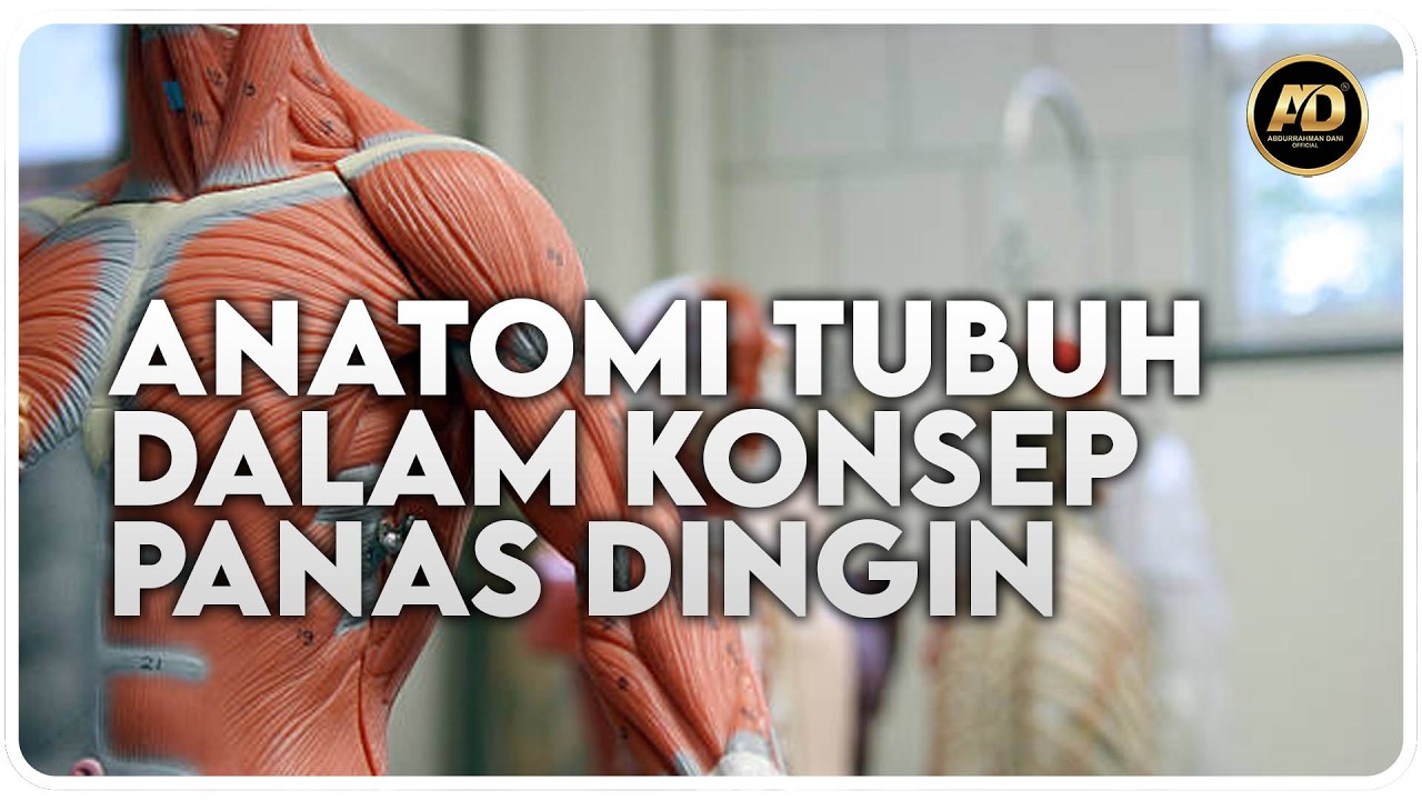 ANATOMI TUBUH DALAM KONSEP PANAS DINGIN