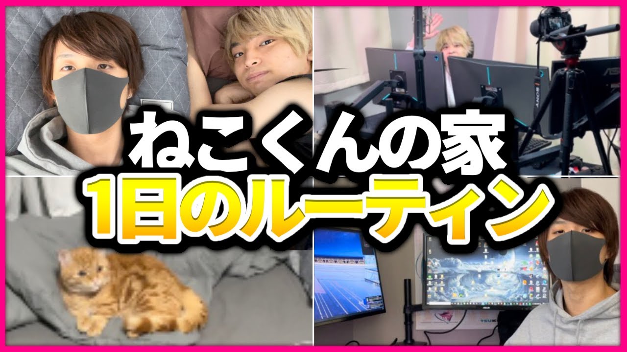 【実写】ねこくんの家にいる時の１日のルーティン
