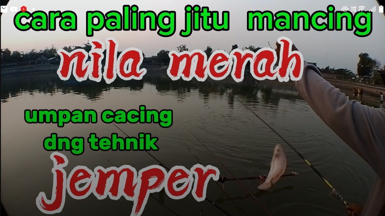 cara mancing nila umpan cacing tehnik bom jemper