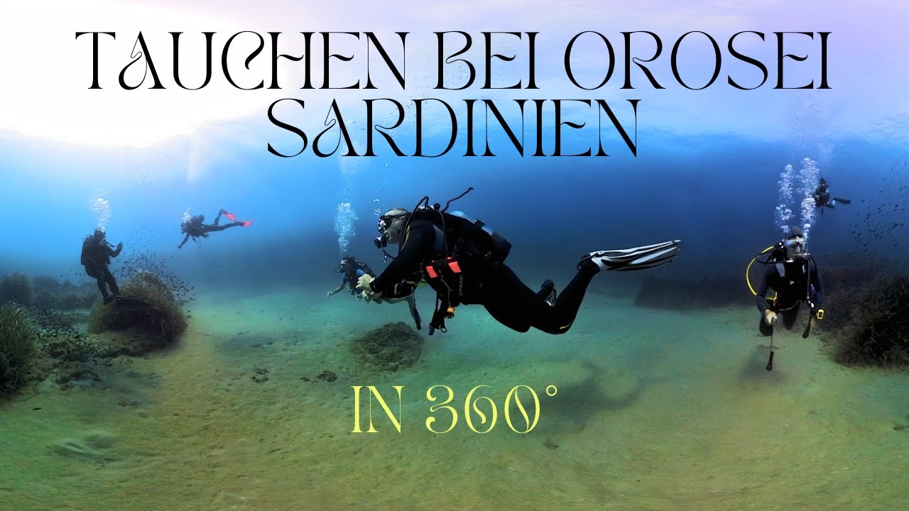 Tauchen auf Sardinien in 360°