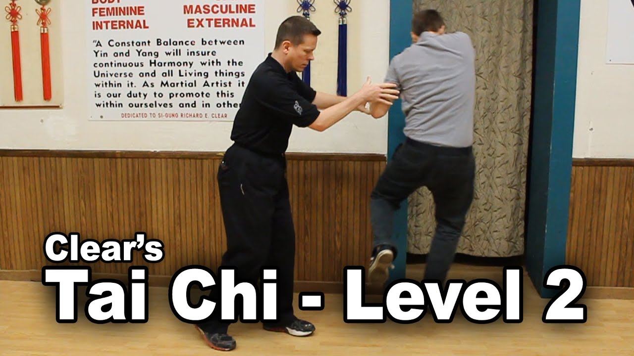 Tai Chi Level 2: Effortless Power (Advanced Uses of Electric / Magnetic)