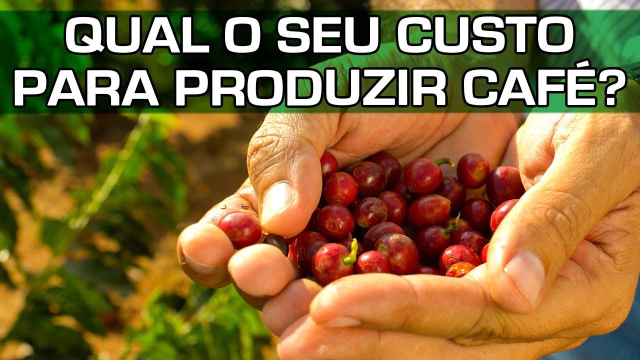 Abrimos a Planilha de Fazendas Eficientes para Você Comparar! | No Pé do Café