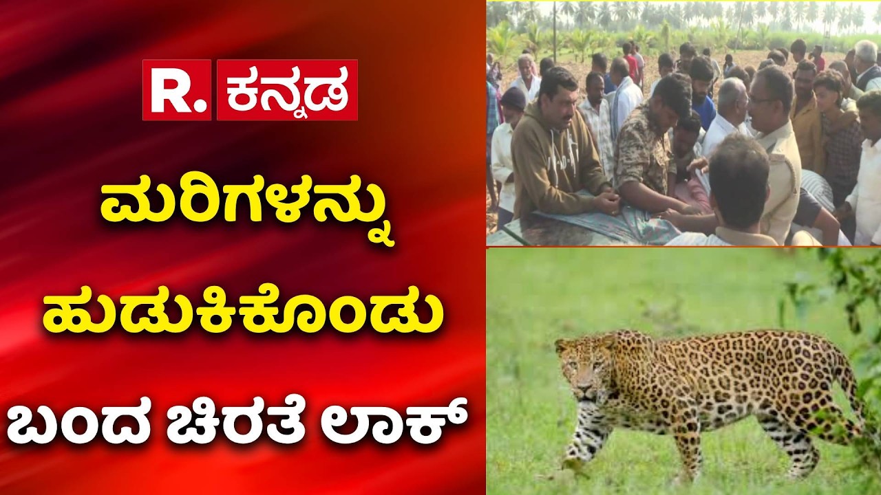 Mandya Leopard Trap : ಮರಿಗಳನ್ನು ಹುಡುಕಿಕೊಂಡು ಬಂದು ಲಾಕ್ ಆದ ಚಿರತೆ | Wild Animal | Forest Department