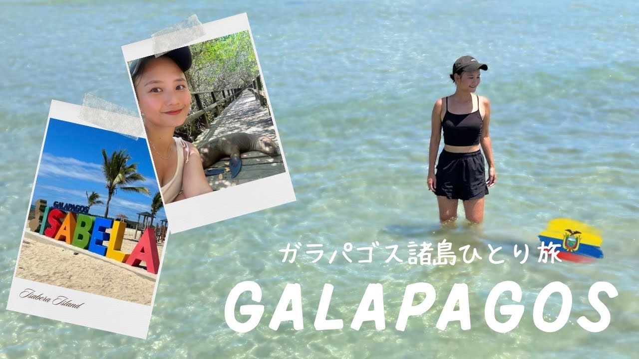 【ガラパゴス諸島ひとり旅②】イザベラ島4日間🏝️｜ガラパゴスで一番お気に入りの島♡