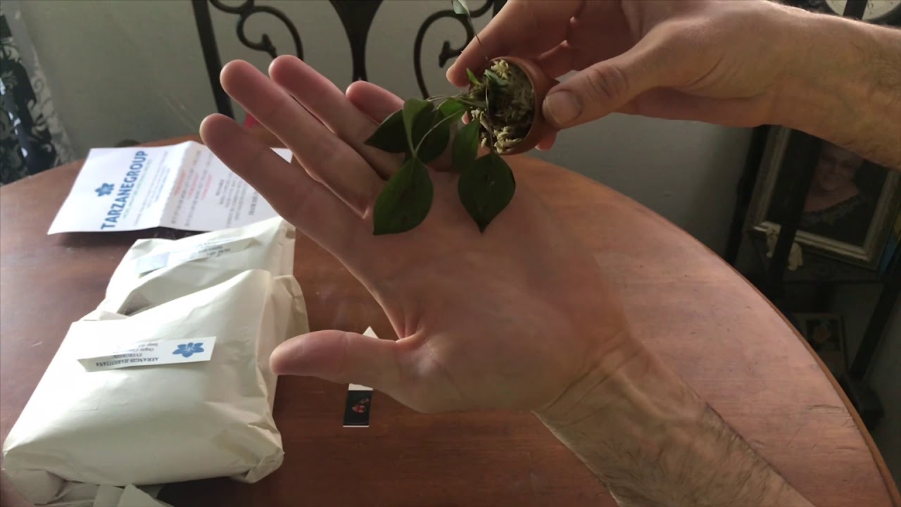 Yet another amazing Tarzane group unboxing!