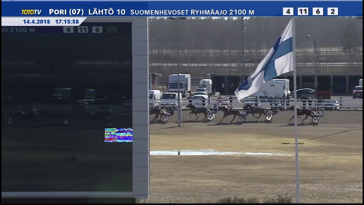 Suomenhevosten Kultaloimi 2018 - Costello