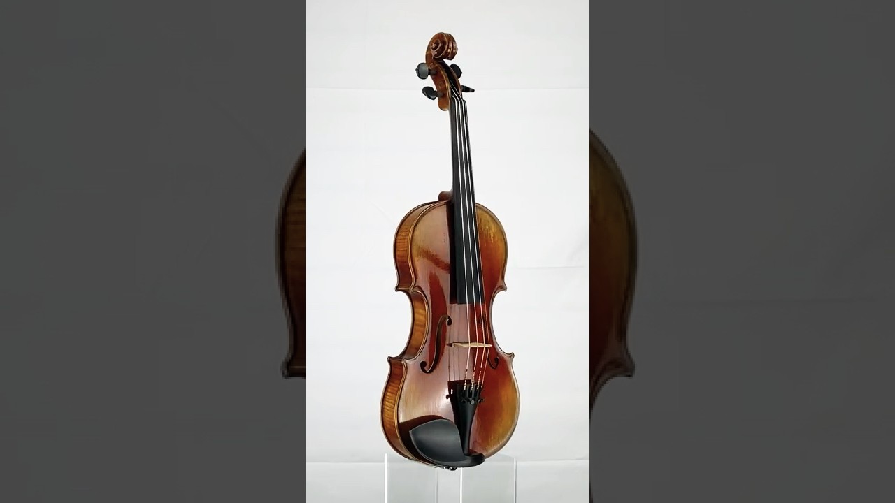 StringWorks 360: Soloist Violin