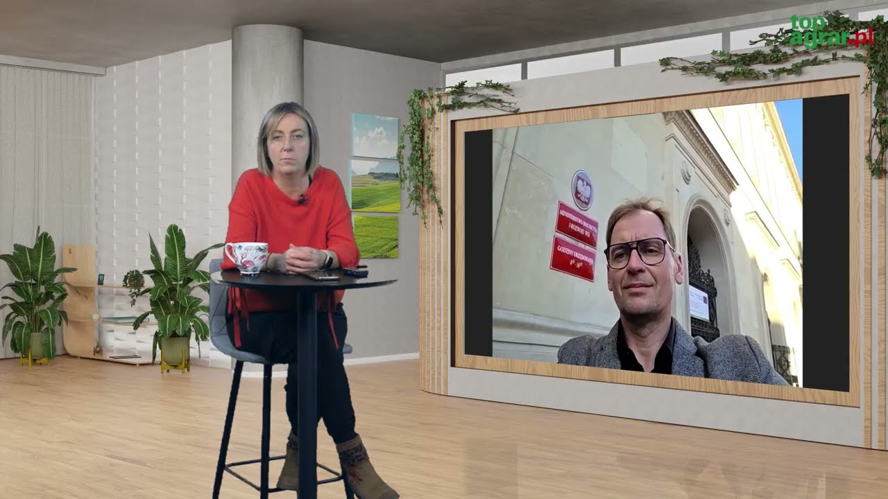 Ceny tucznik&oacute;w: w najbliższym czasie tylko obniżki? Ile płacą ubojnie?