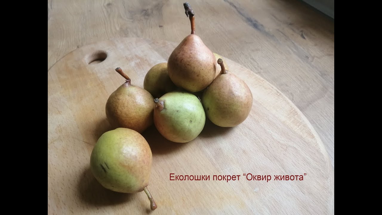 Autohtone sorte krušaka u Srbiji