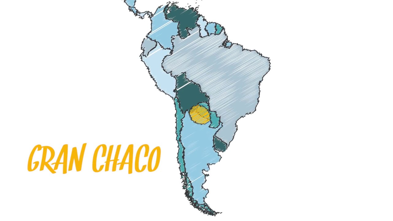 CWS in the South American Gran Chaco