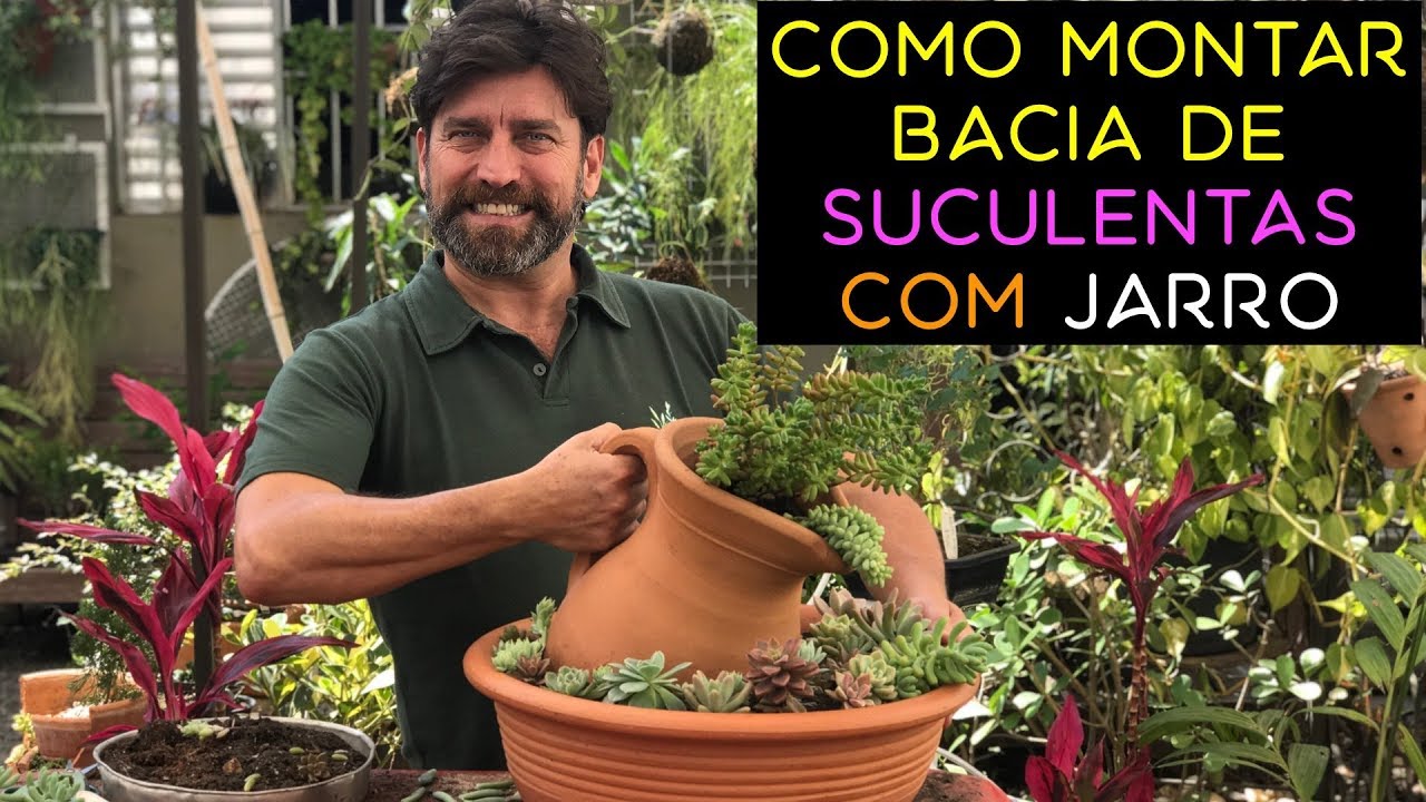 Como Montar Bacia de Suculentas com Jarro