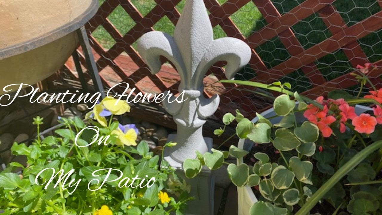 Creating a Summer Refuge/Container gardening/Patio and Porch Living/Curb Appeal Flower Bed