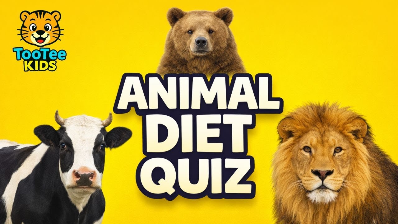Animal Diet Quiz for Kids | Herbivore Carnivore Omnivore