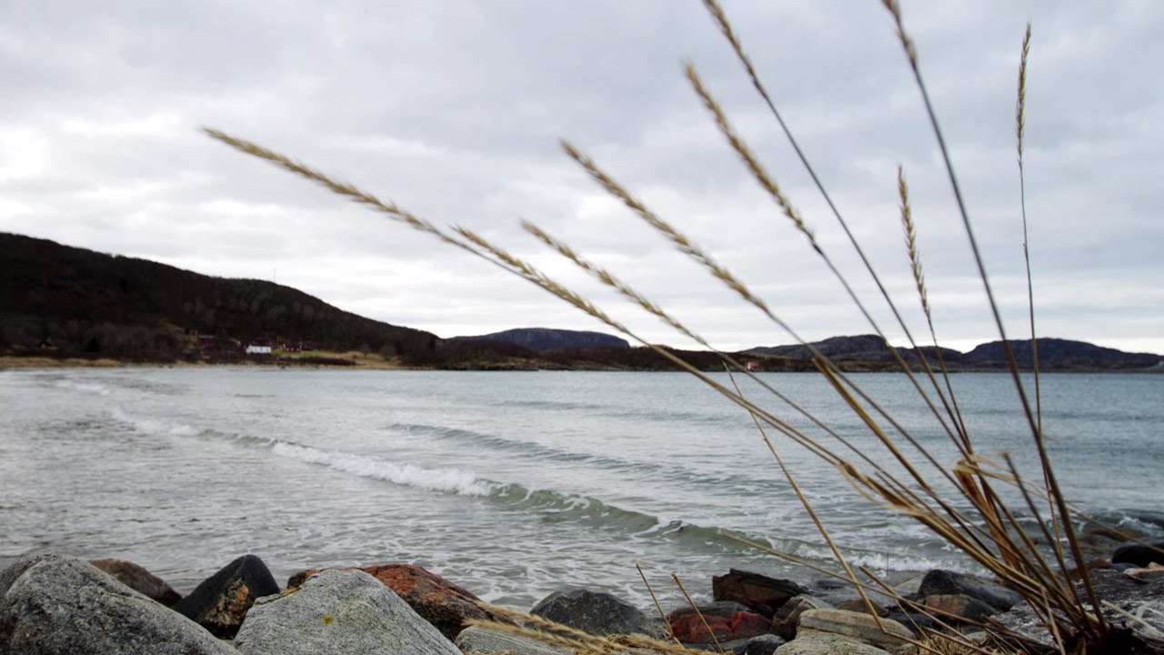 Telenor bygger bredbånd i Åfjord