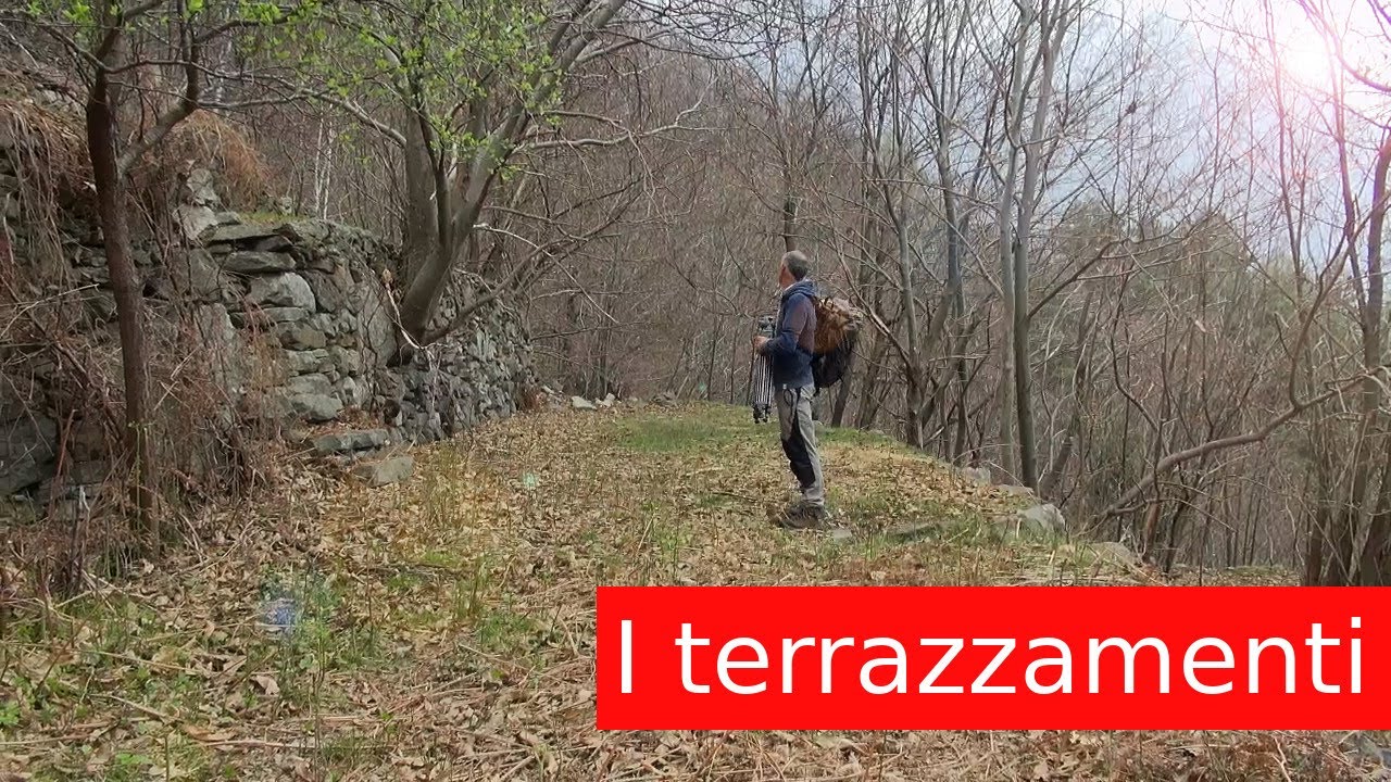 I Terrazzamenti gemelli di Pianazzola