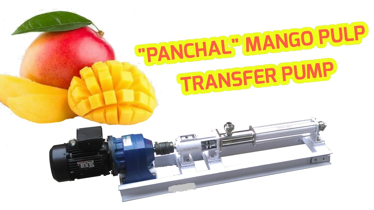 PANCHAL Mango Pulp Transfer Pump - Sanitary Hygienic Quality Food Grade Quick Clean #screwpump