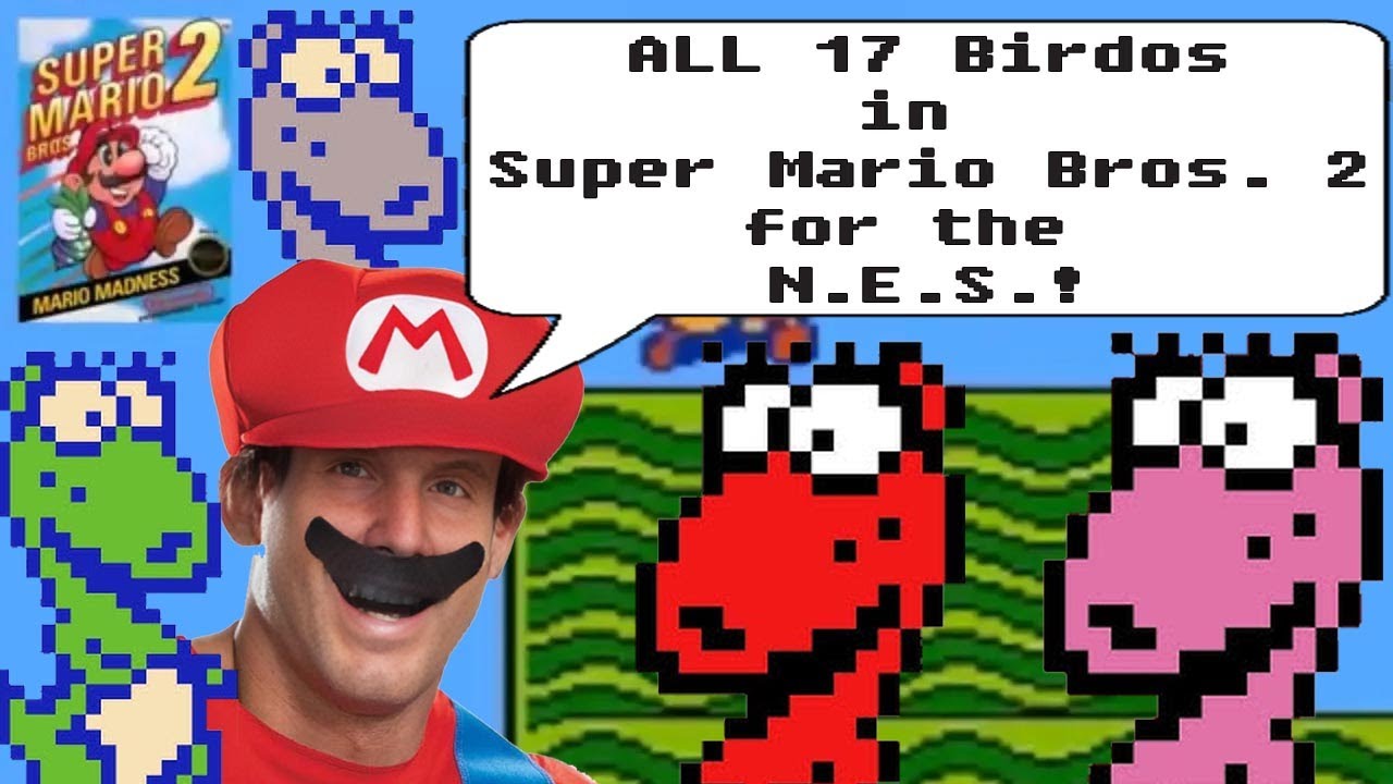 ALL 17 BIRDOS in Super Mario Bros. 2 (NES)!