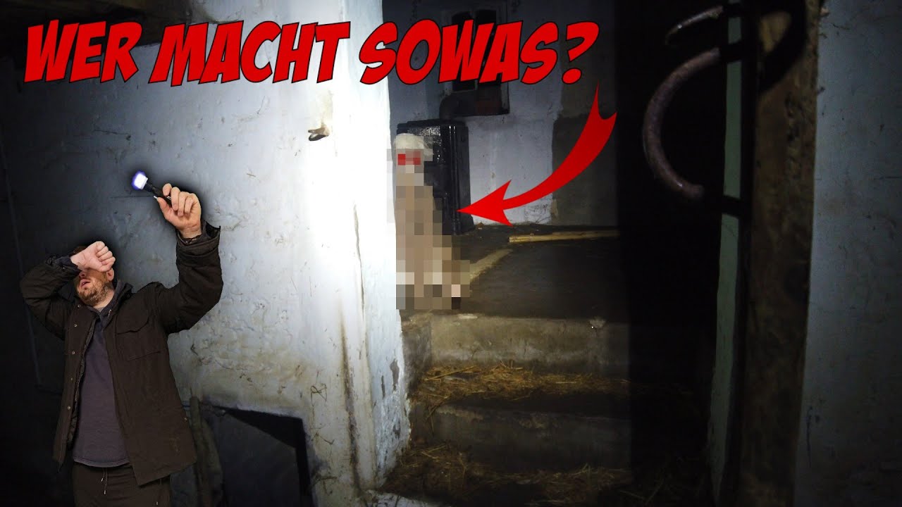 EIN SCHOCK NACH DEM ANDEREN! 😲 - Plötzlich KNALLT ES hinter MIR!
